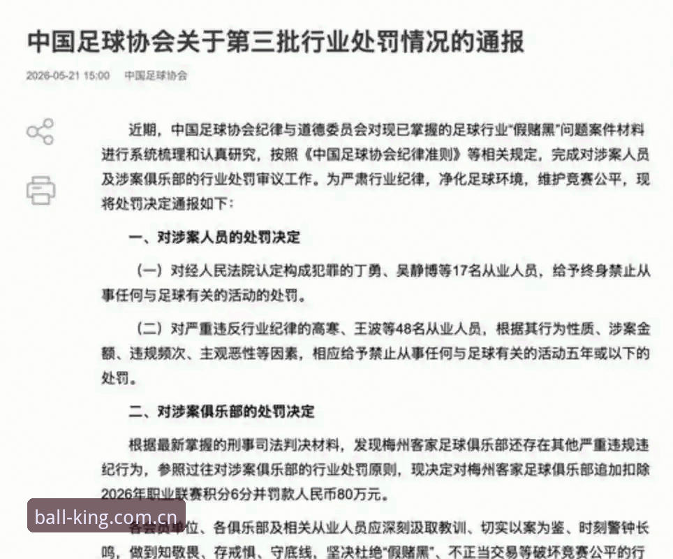 揭秘足协第三批禁足名单：终身禁足与五年禁赛背后的足球生态裂痕